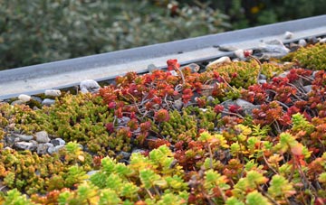 the cost of Stanford On Teme green roof installation