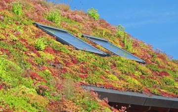 Stanford On Teme living roof systems