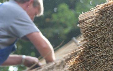 professional Stanford On Teme thatchers