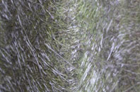 Stanford On Teme fibreglass roof work